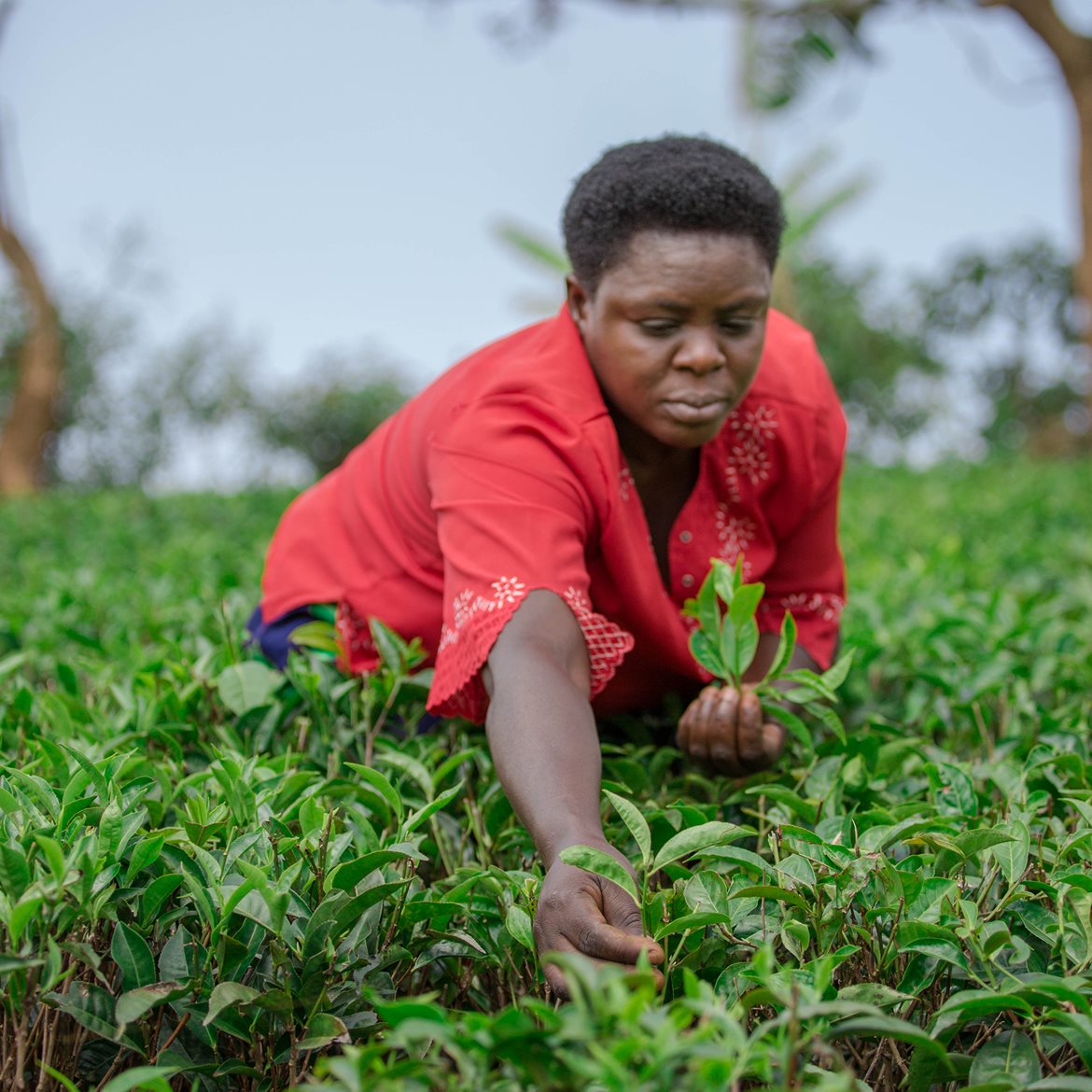 1uganda-covoid-joan-nabasa-(1)