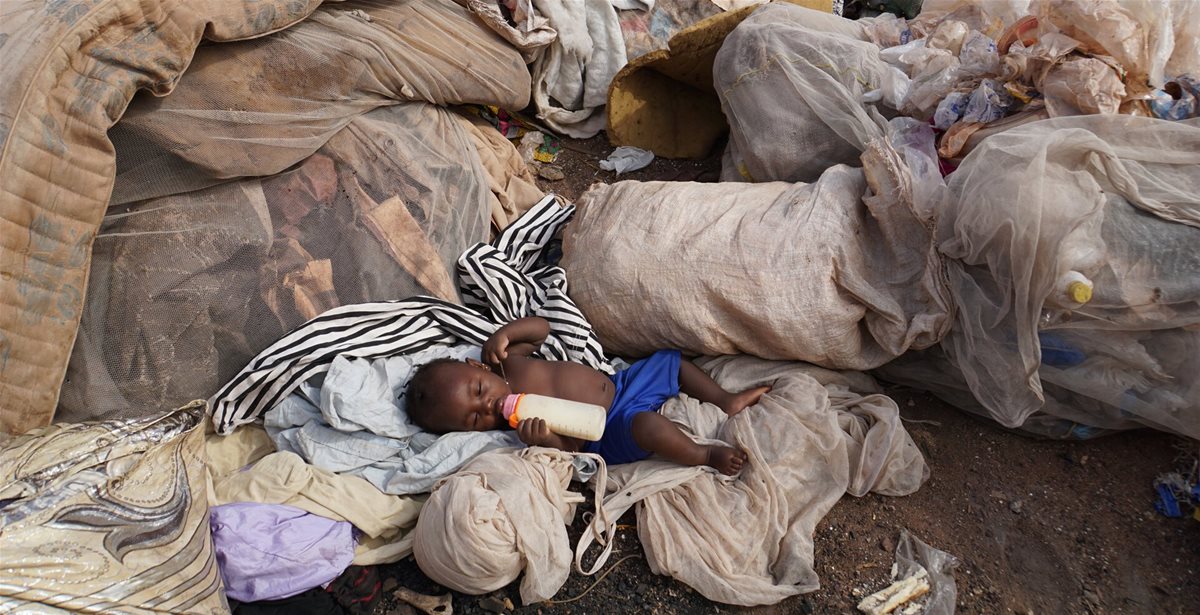 2019  Mali Green Jobs