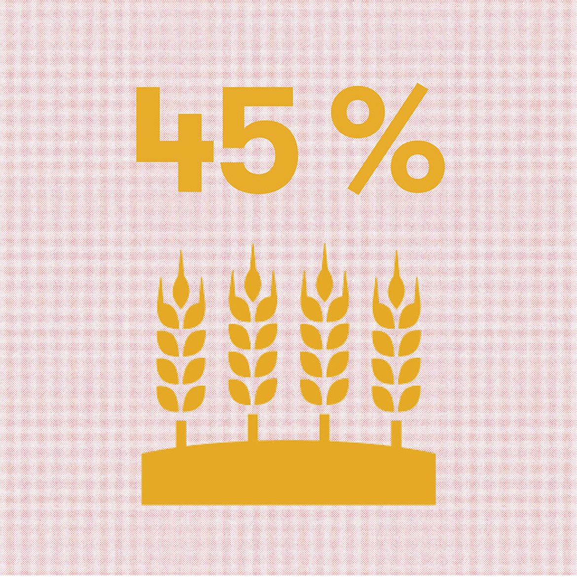 illustrasjoner-45-prosent-hvete