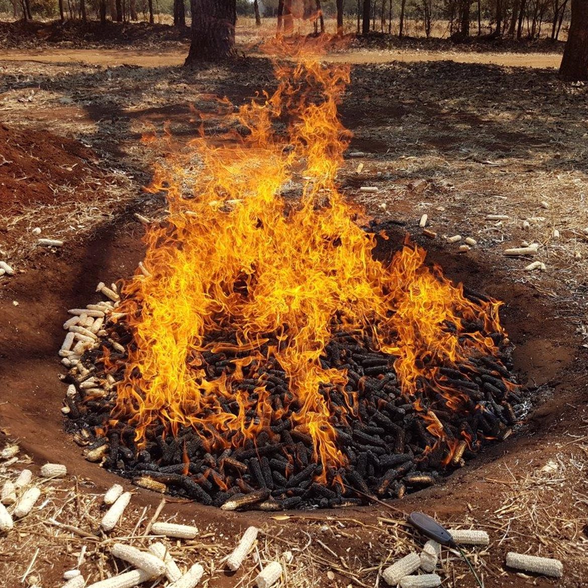 ngi-biochar-production-curtain-kilns-zambia-(1)