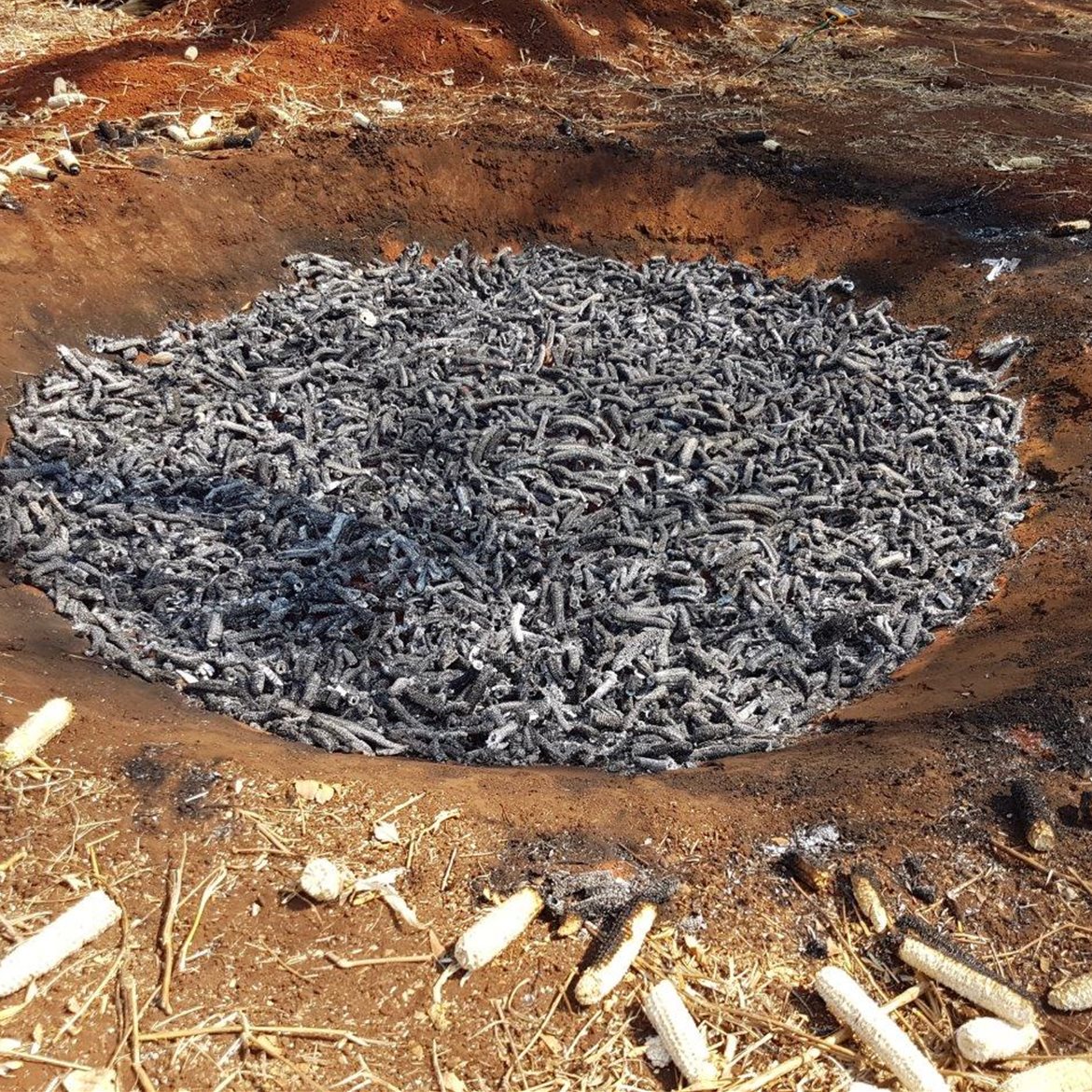 ngi-biochar-production-curtain-kilns-zambia-(3)